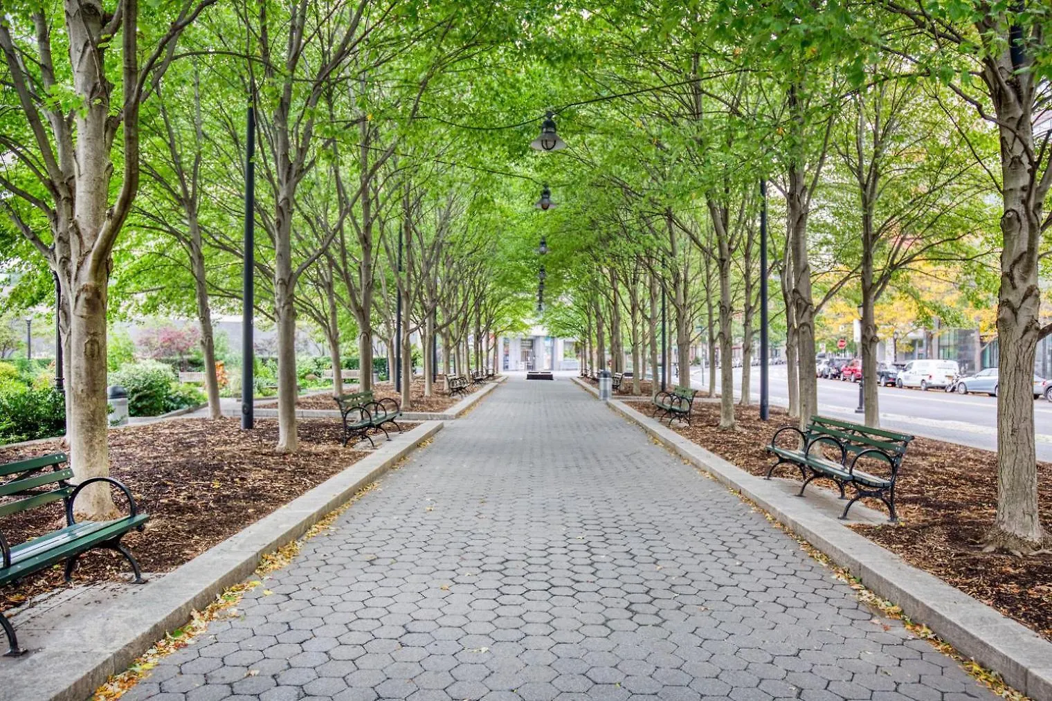 Fidi 1Br W Wd Doorman Elevator Roof Nyc-770 Apartment New York